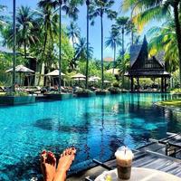 Отзыв от Олеся - Visa DTV